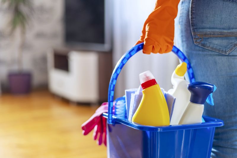 Apartment Cleaning Service in Renton, WA
