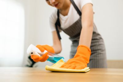 Monthly Maid Service in Palm Coast, FL