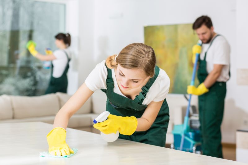Townhouse Deep Cleaning in Bellevue, WA